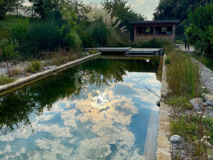 Piscine Naturelle