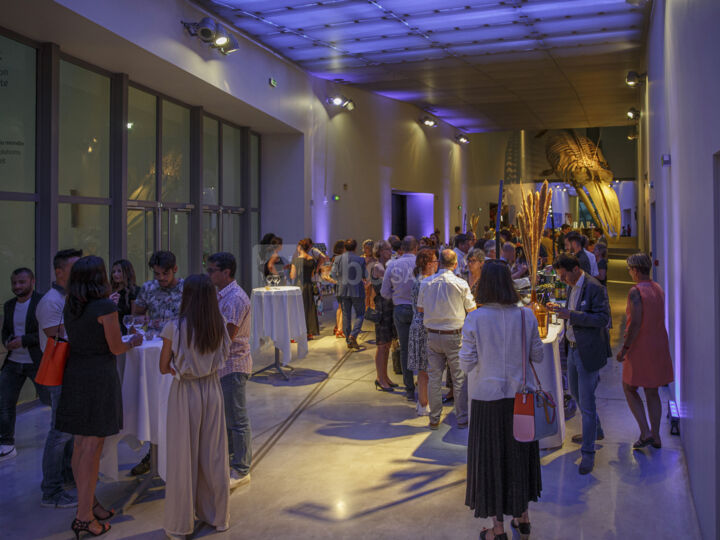 Espaces liants, aux portes des expositions