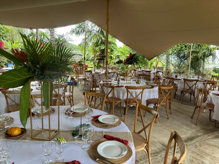 Jardin