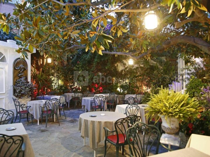 Le Magnolia