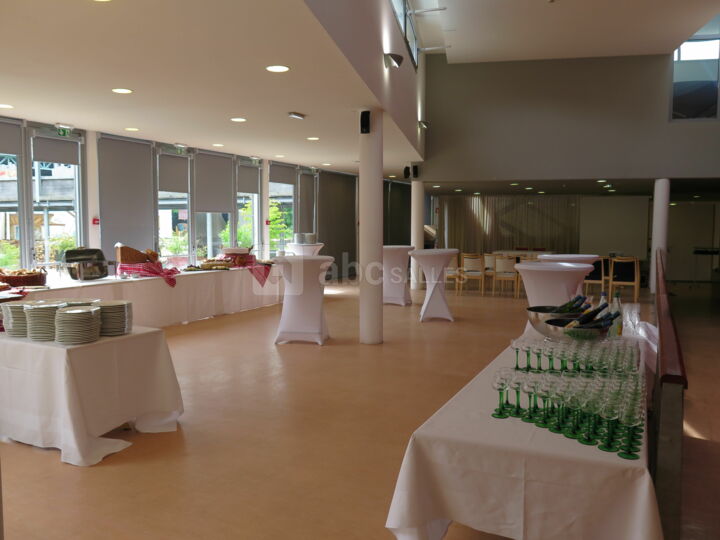 Salle des Cigognes