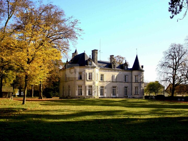 Château de Dangy