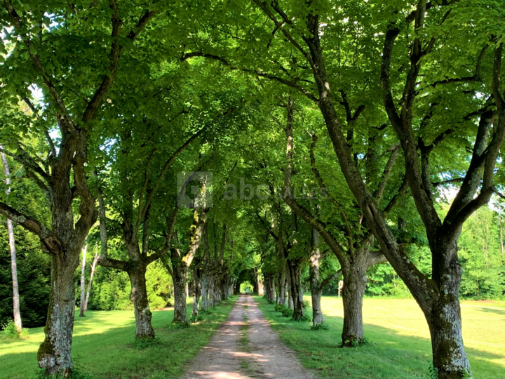 Parc du Domaine