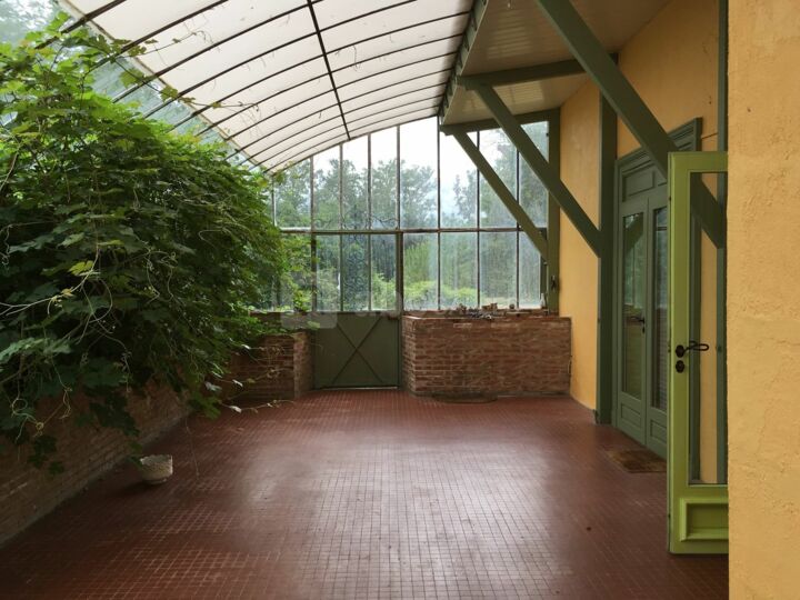 Jardin d'hiver