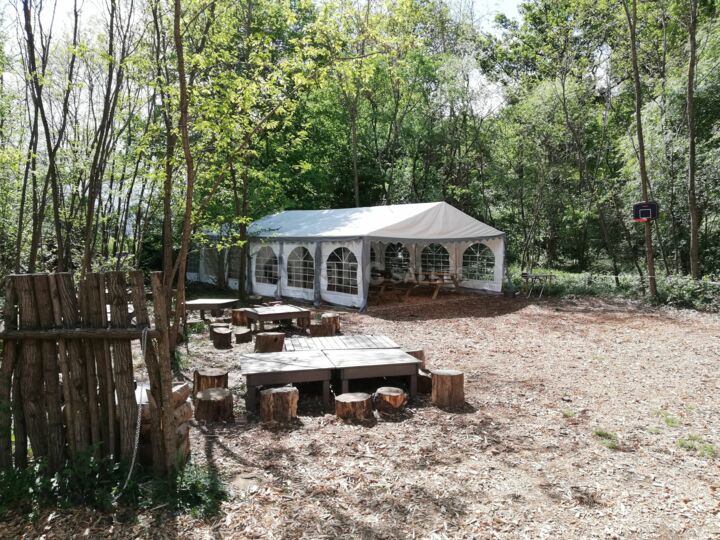 Forest Arena