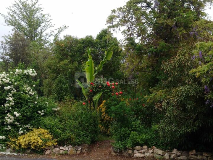 Parc de 2 hectares