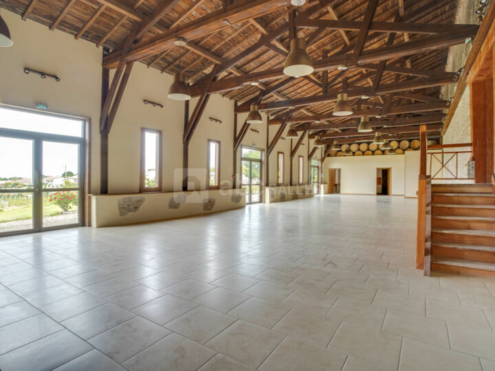 Salle Vignes