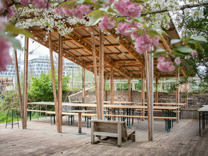 Terrasse de la pépinière