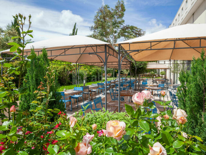 Terrasse Kitchen & Bar
