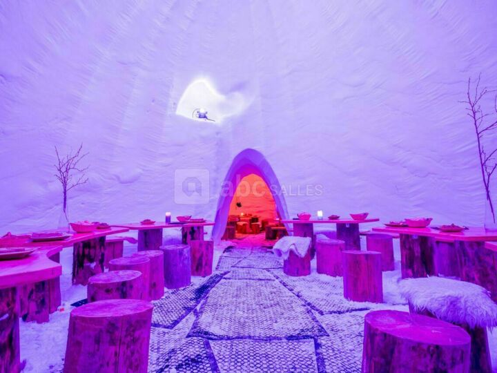 Caméléon Igloo Village Thorens