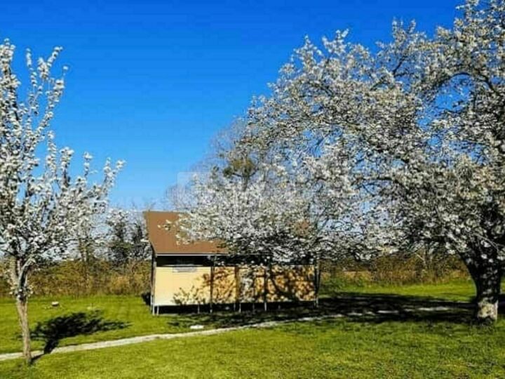 La Borde Ecolodge