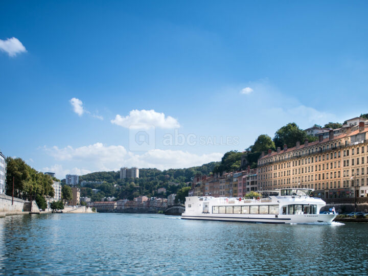 Les Bateaux Lyonnais