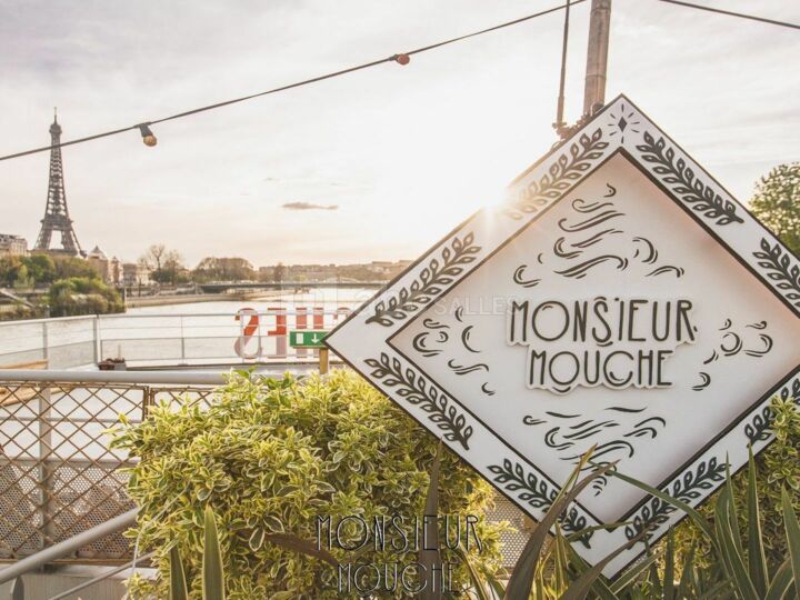Monsieur Mouche