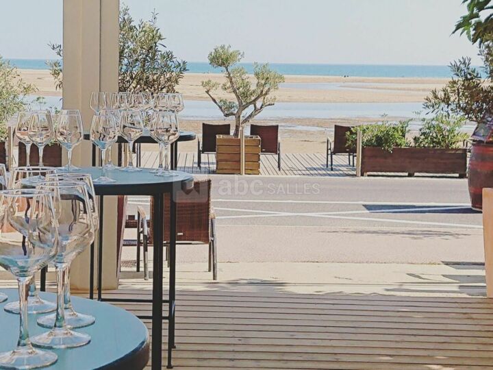 Jardin et terrasse