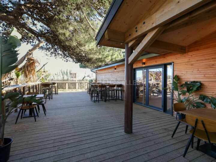 Terrasse en bois