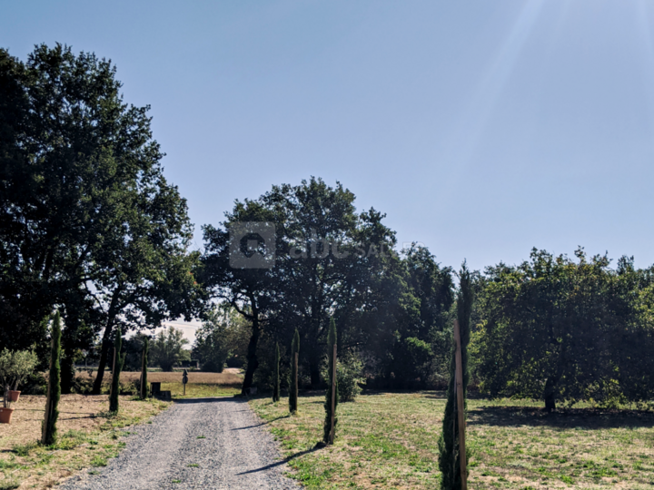 Pré arboré