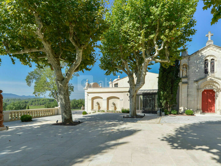 La cour des platanes