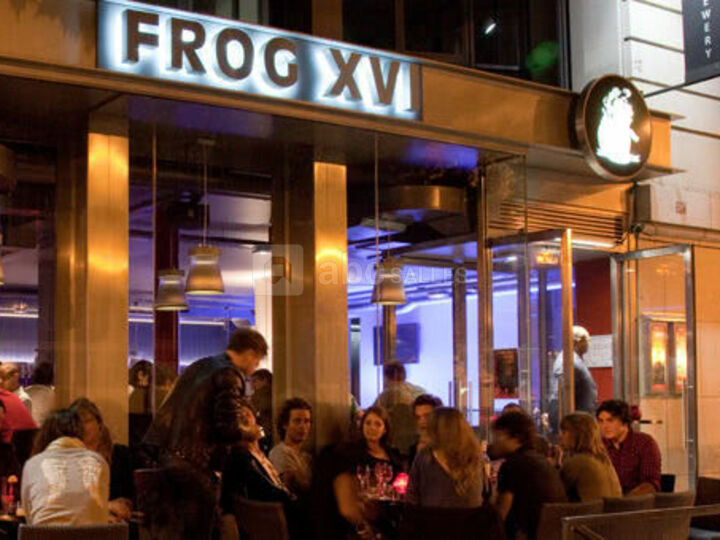 Frog XVI