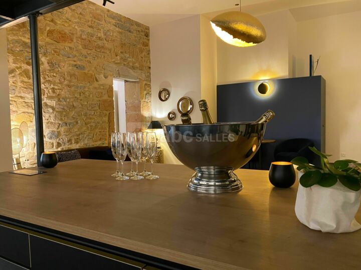 Espace bar/cuisine équipée