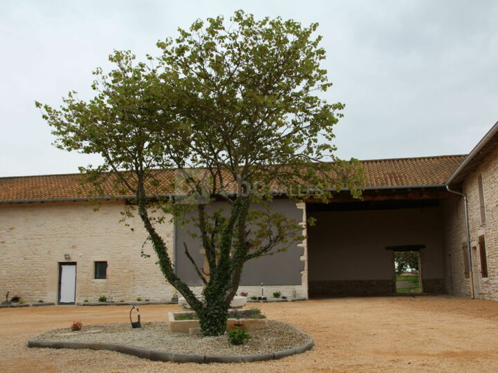 Salle de cérémonie