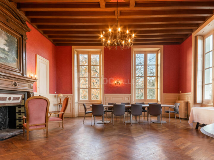Salon d'Honneur au Château