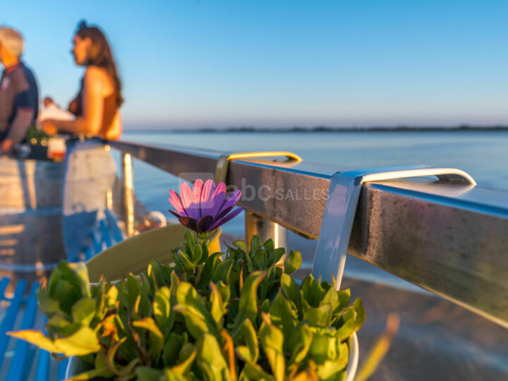 Pont terrasse