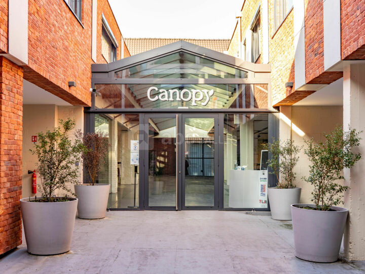 Canopy