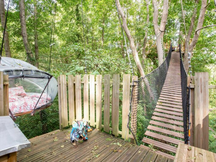Tente au milieu de la forêt