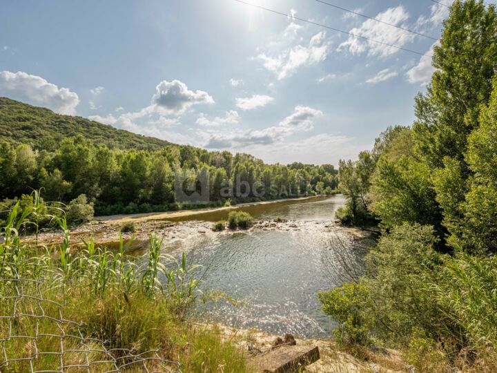 Forêt