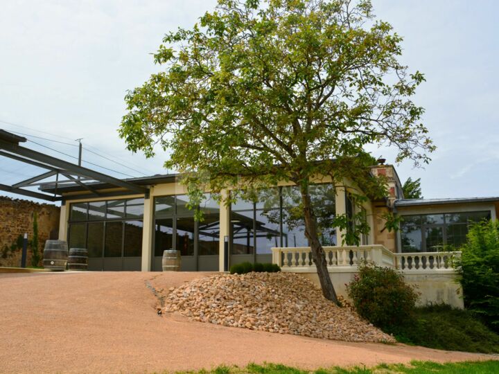 Orangerie