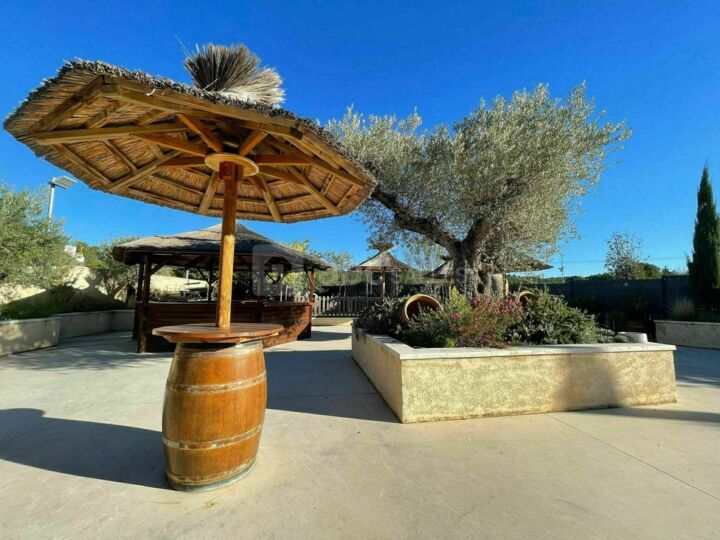 Le Clos des Oliviers