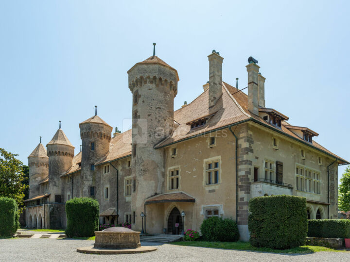 Château de Ripaille