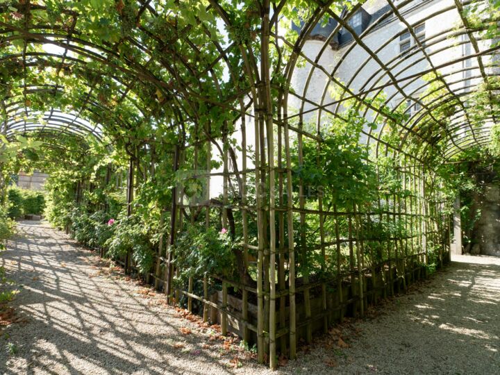 Jardin suspendu