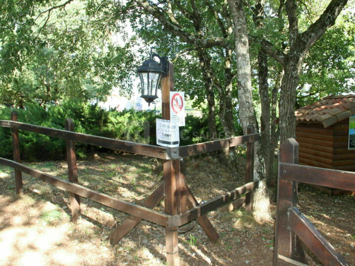 Paddock