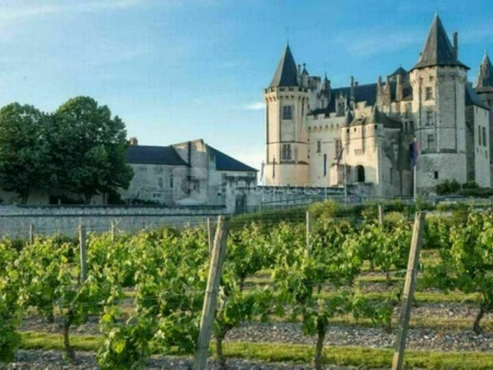 Château de Tassigny