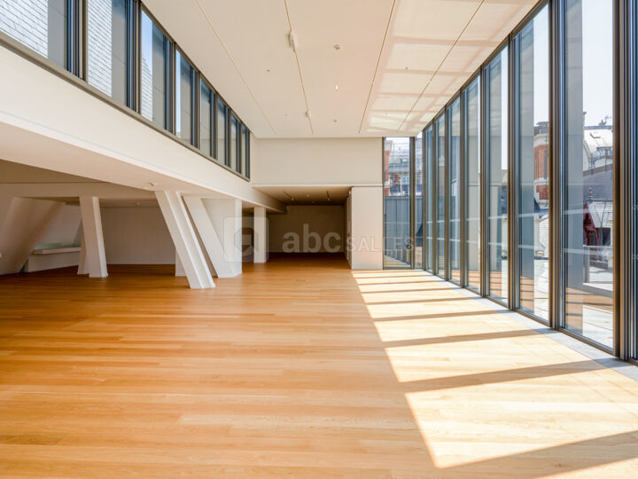 Toits Malesherbes (+ Terrasse 200 m²)