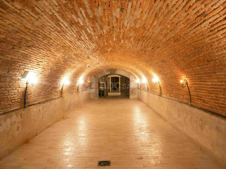 La cave
