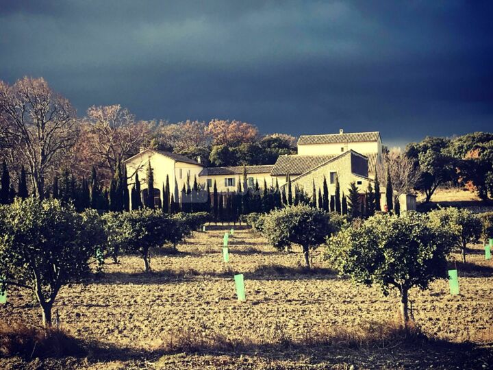 Domaine de Cordis