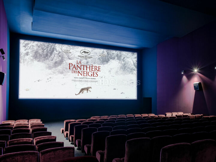 Salle 2 Fellini