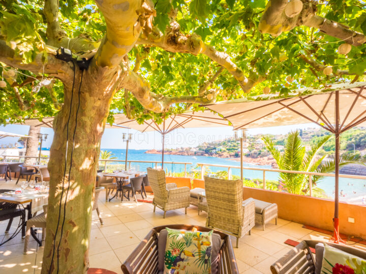 Terrasses