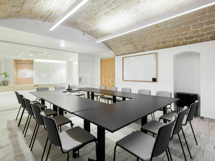 Salle de réunion - 12 personnes (MTS03)