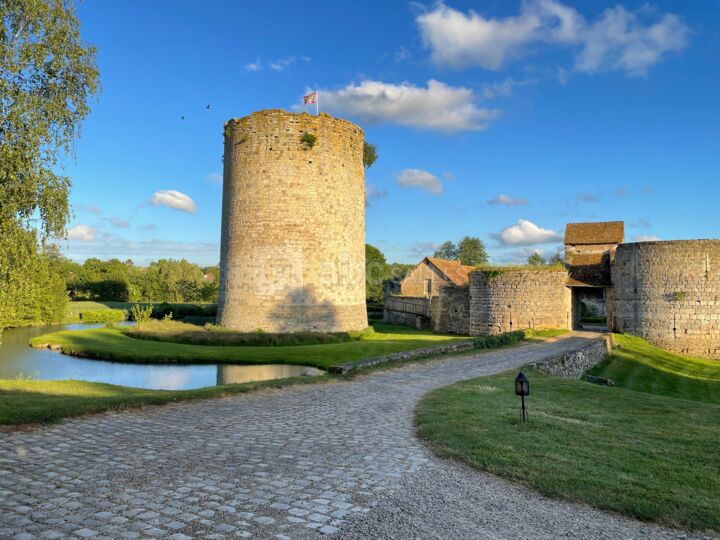 Château de Nesles