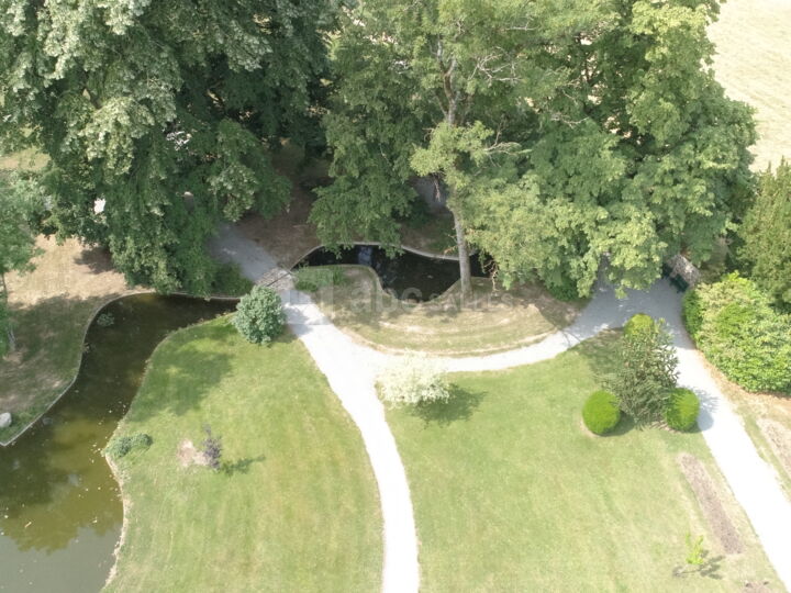 L'etang