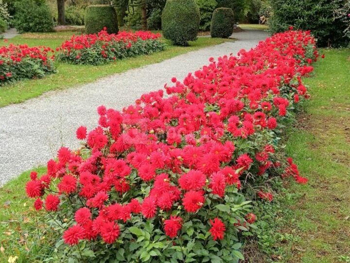 Le Parc