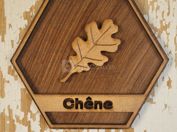 Domaine de la Bachellerie