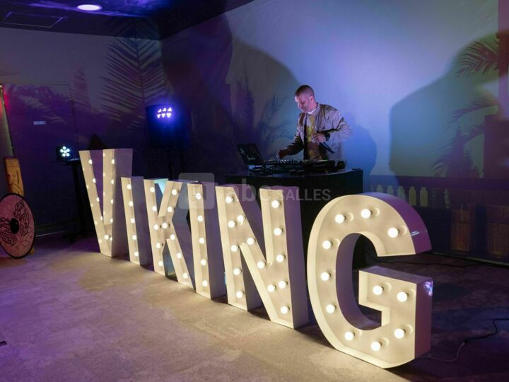 Cite Immersive Viking