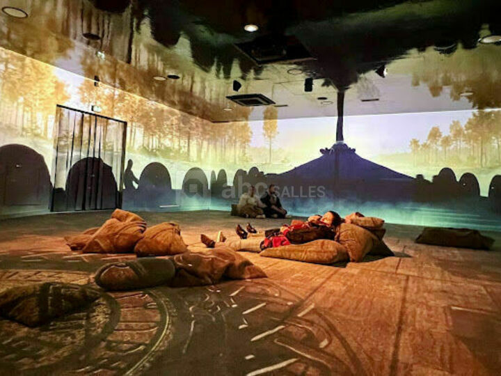 Cite Immersive Viking