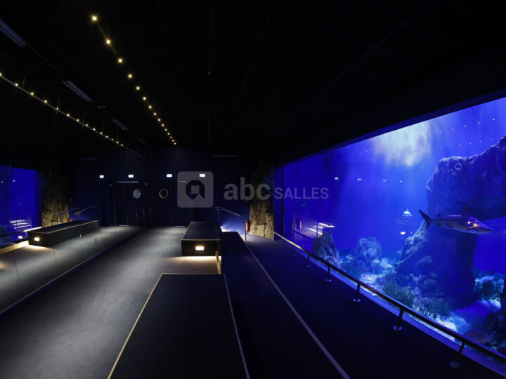 Aquarium Oniria