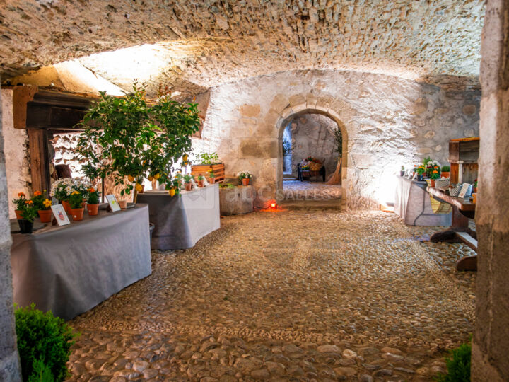 Salle des gardes
