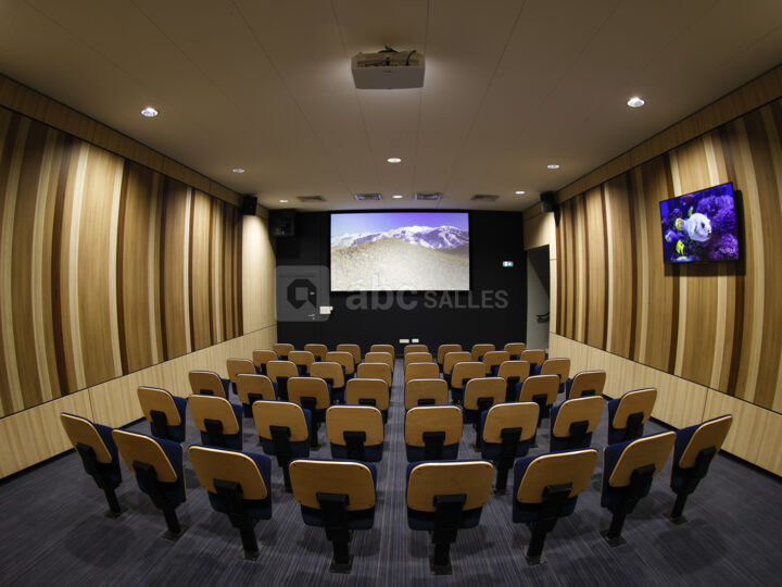 Salle de projection